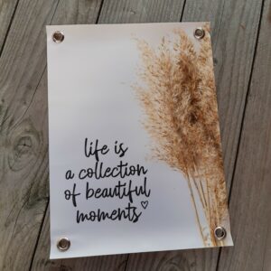 Tuinposter |  Life is a collection...