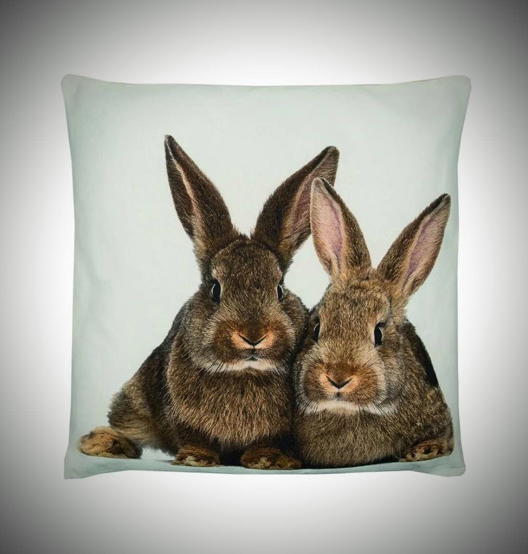 Canvas kussen 2 konijnen bruin 50x50cm
