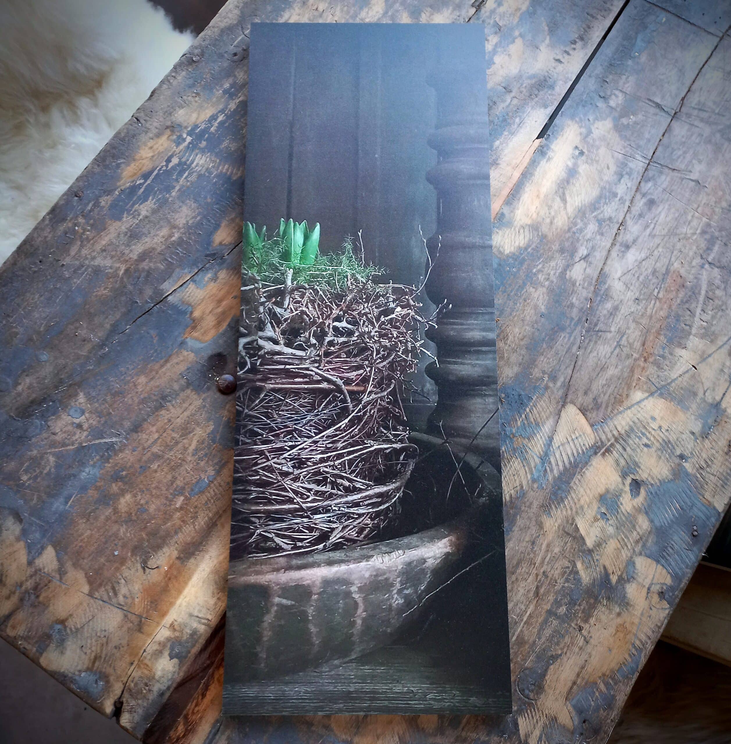 Decobord Nestje Hyacinten 20/55
