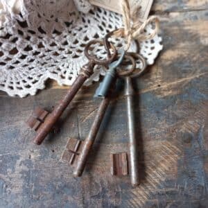 Bosje oude verweerde sleutels