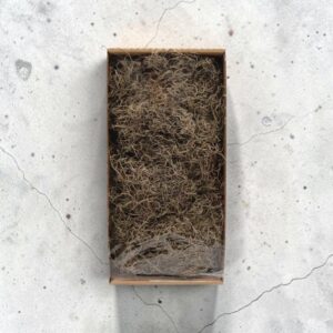 Doos Tillandsia 250 gram