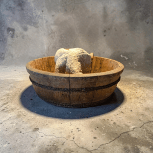 Grote Oude Houten  Olijfbak